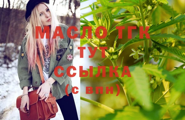 гидра Саяногорск