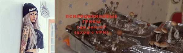 PSILOCYBIN Алзамай