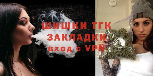 PSILOCYBIN Алзамай