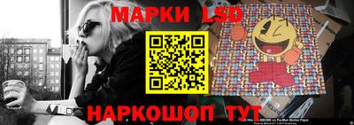 ешки Гатчина