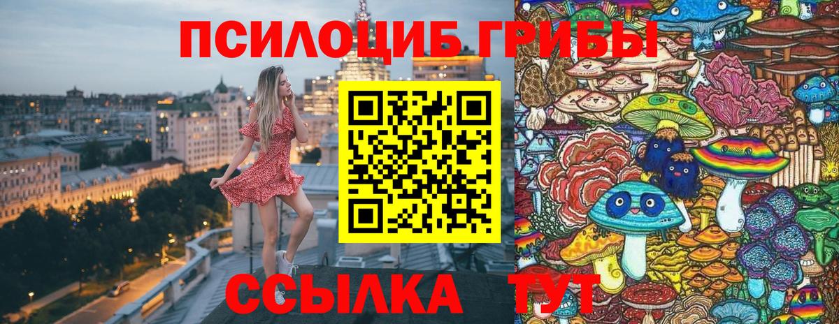 Кулебаки  Галлюциногенные грибы ЛСД  Вход с VPN 